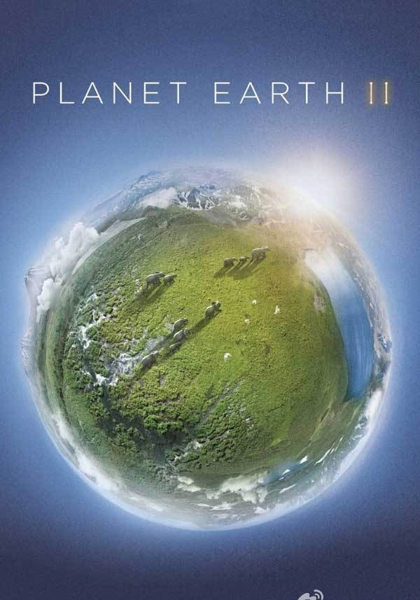 2016最新电影《地球脉动 第二季》评分9.9