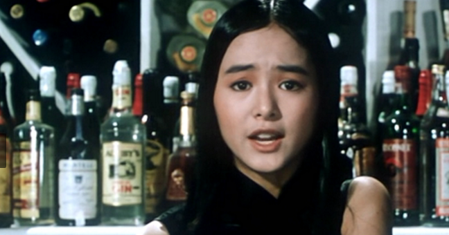 1992科幻惊悚《卫斯理之老猫》DVDRip.国粤双语.中字